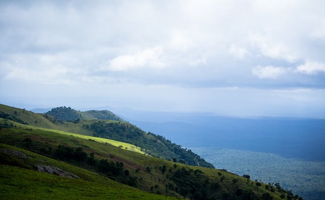 贝尔戈米盛赞法布雷加斯：他从不踢0-0的比赛，执教理念正确
